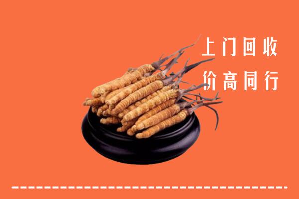 高价求购：苏家屯区回收散虫草