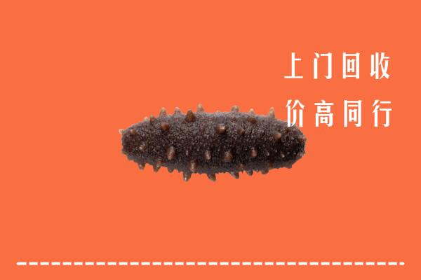苏家屯区回收海参