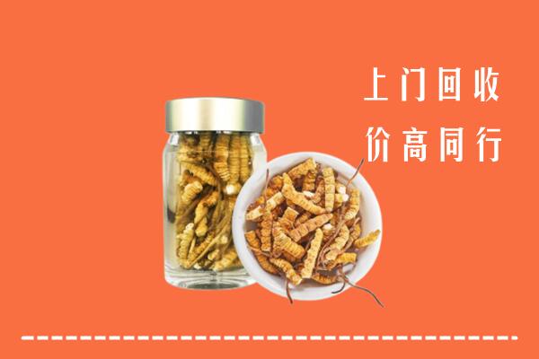 苏家屯区回收冬虫夏草